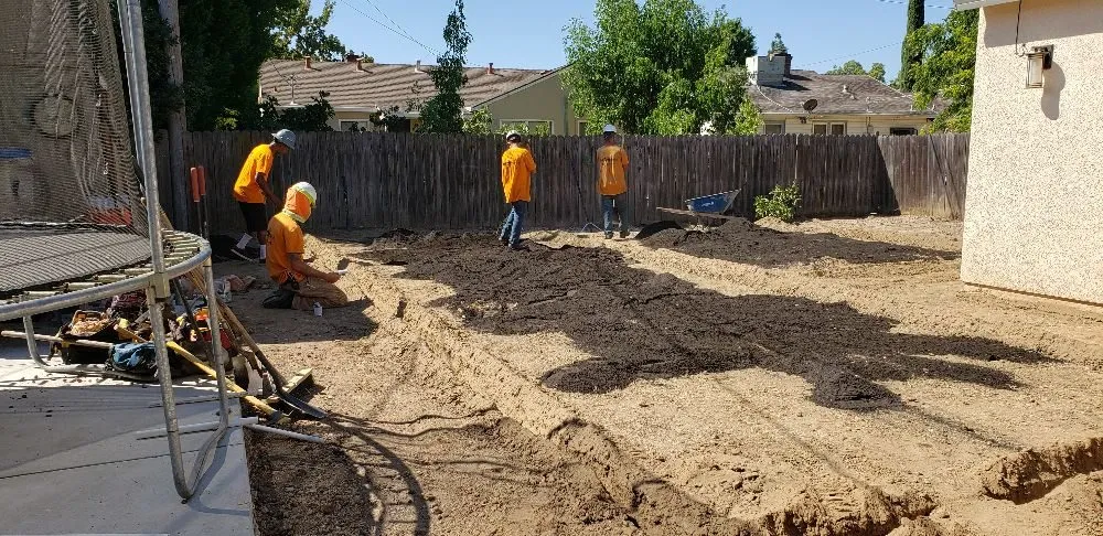 Reliable yard cleanup service in Sacramento, CA - Tree and Landscape Pros