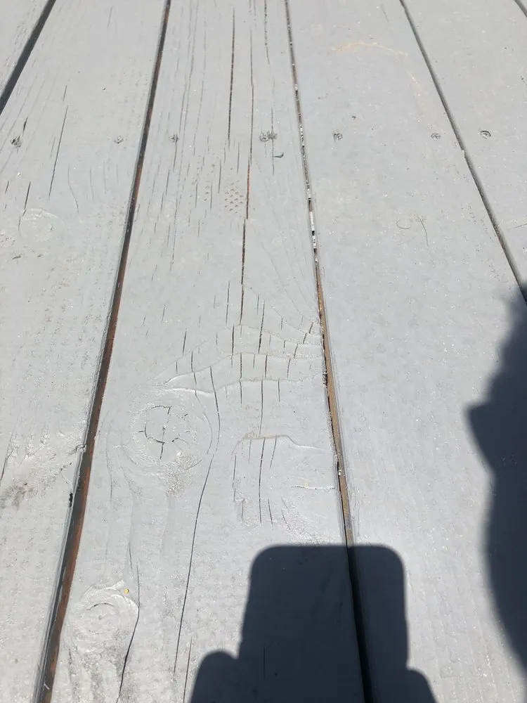 Affordable lawn mowing service for beautiful yards across Sacramento, CA - Tree and Landscape Pros