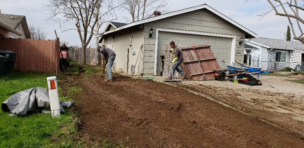 Affordable yard cleanup service in Sacramento, CA by Tree and Landscape Pros