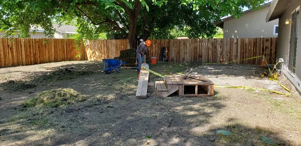 Expert lawn care service in Sacramento, CA - Tree and Landscape Pros