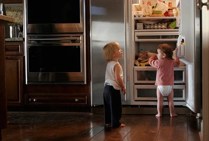 Local yard maintenance experts serving Sacramento, CA - Tree and Landscape Pros