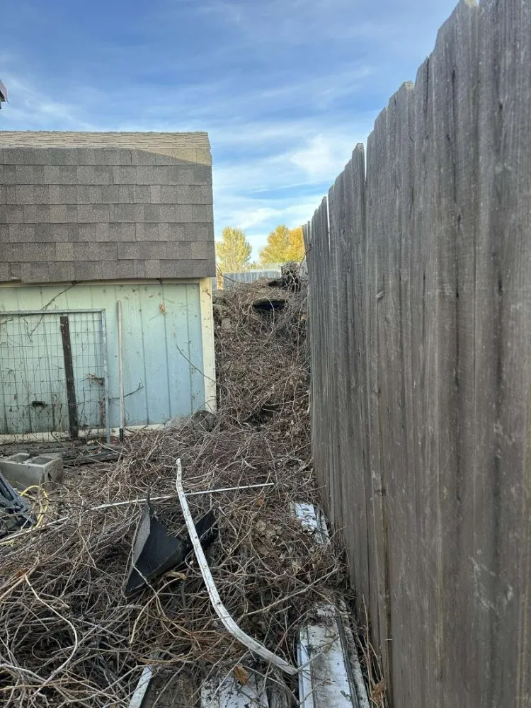 Reliable lawn care service for homes across Burley, ID - Tree and Landscape Restoration