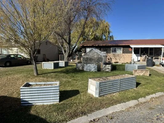 Tree and Landscape Restoration