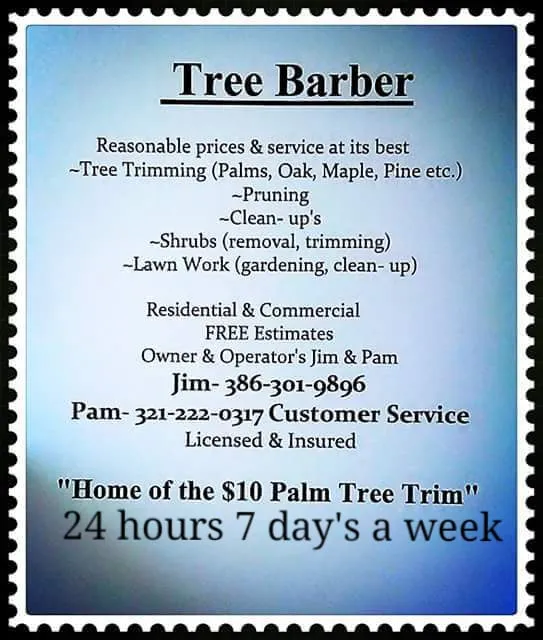 Expert lawn care service in Edgewater, FL by Tree Barber