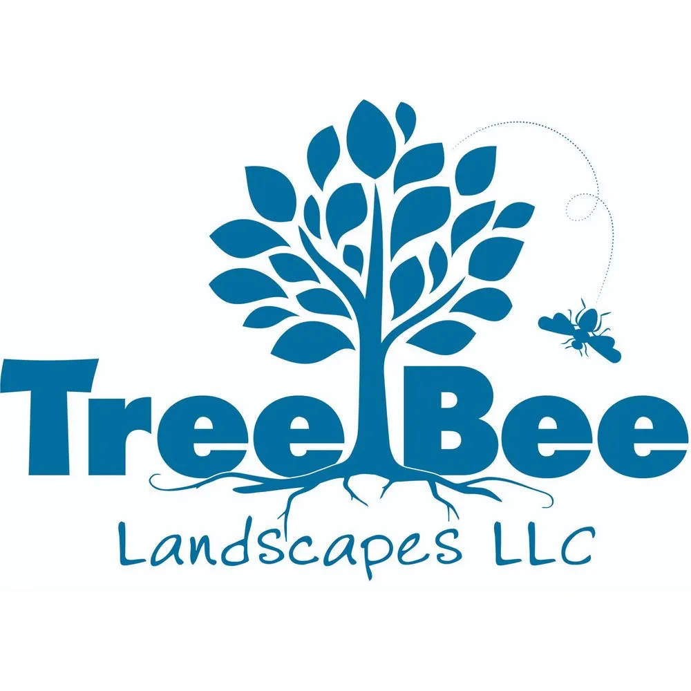 Affordable lawn care service experts serving Tualatin, OR - Tree Bee Landscapes