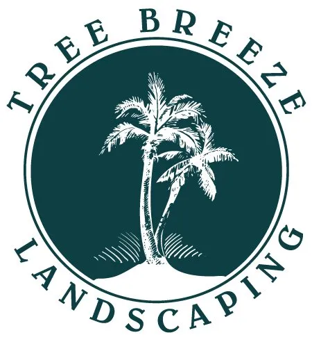 Trusted landscaping services in San Diego, CA - Tree Breeze Landscaping