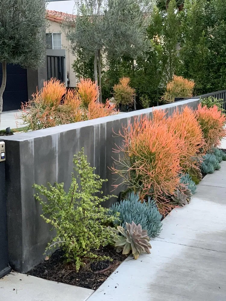 Trusted outdoor landscaping with custom design across San Diego, CA - Tree Breeze Landscaping