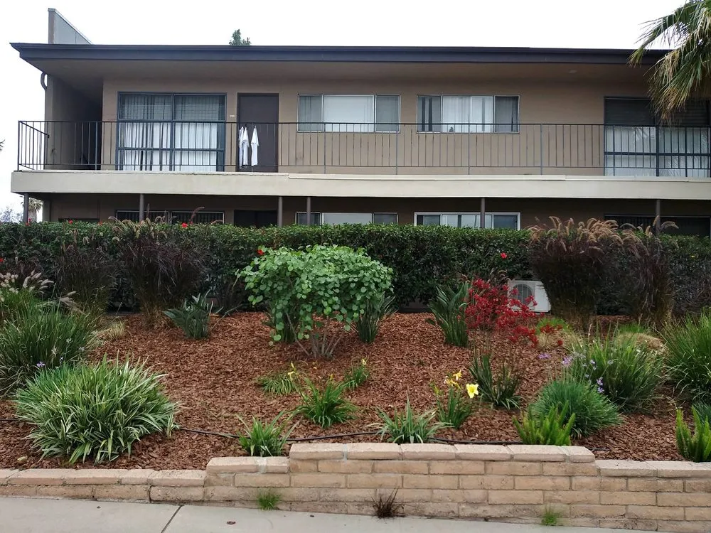 Top-rated landscaping services for beautiful yards across San Diego, CA - Tree Breeze Landscaping