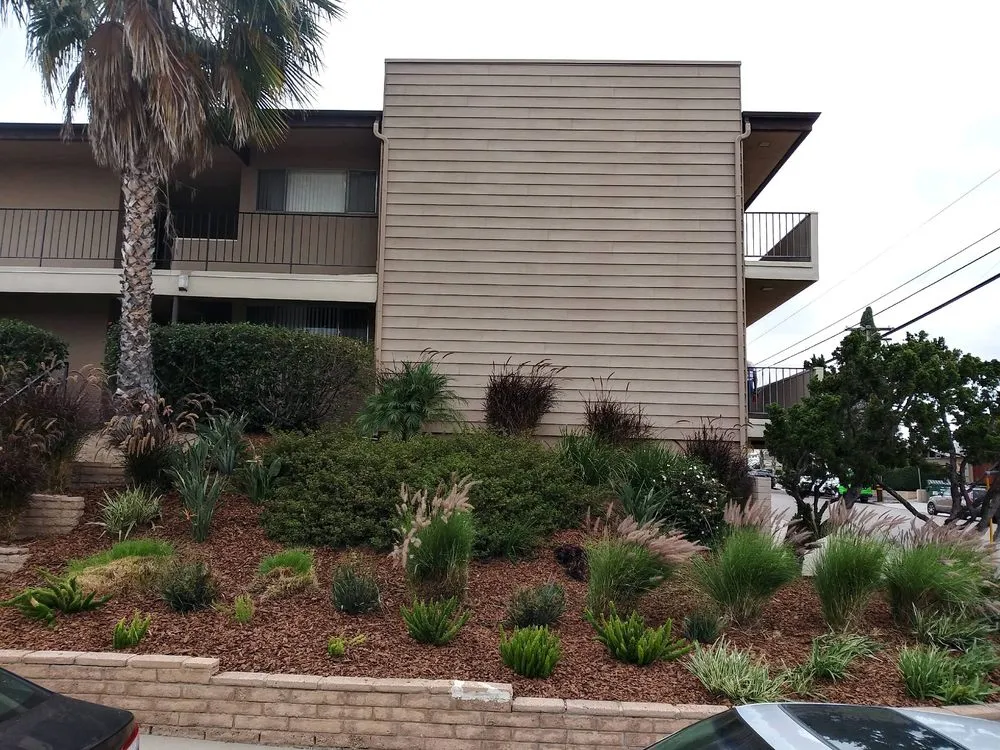 Affordable landscape installation in San Diego, CA by Tree Breeze Landscaping