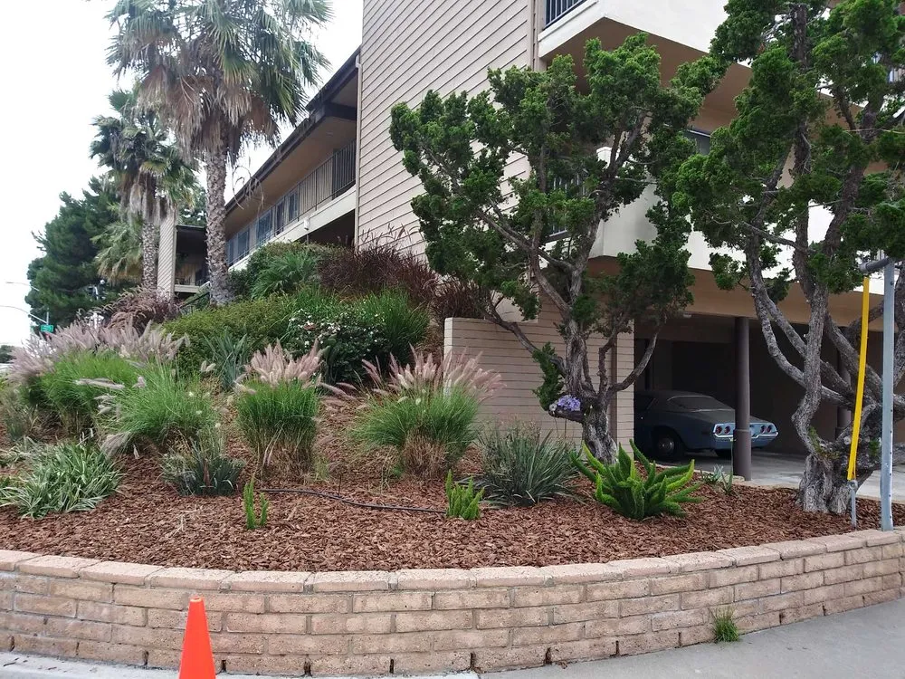 Professional garden landscaping with custom design across San Diego, CA - Tree Breeze Landscaping
