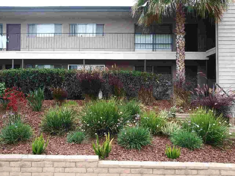 Trusted yard maintenance for residential properties in San Diego, CA by Tree Breeze Landscaping