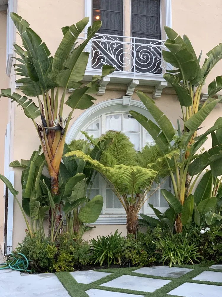 Expert lawn mowing service for homes across San Diego, CA - Tree Breeze Landscaping