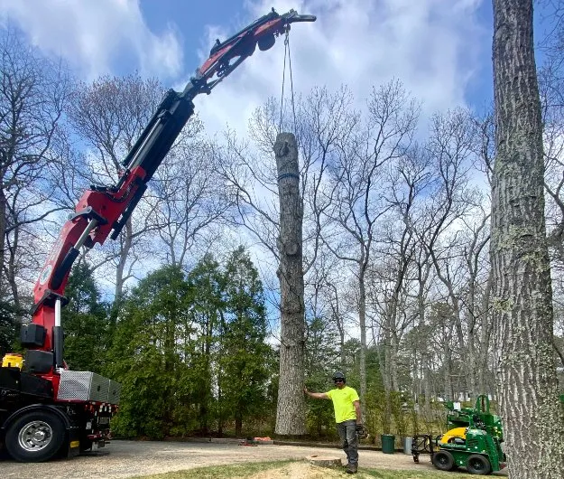 Affordable landscape design for residential properties across Barnstable, MA - Tree Care Cape Cod