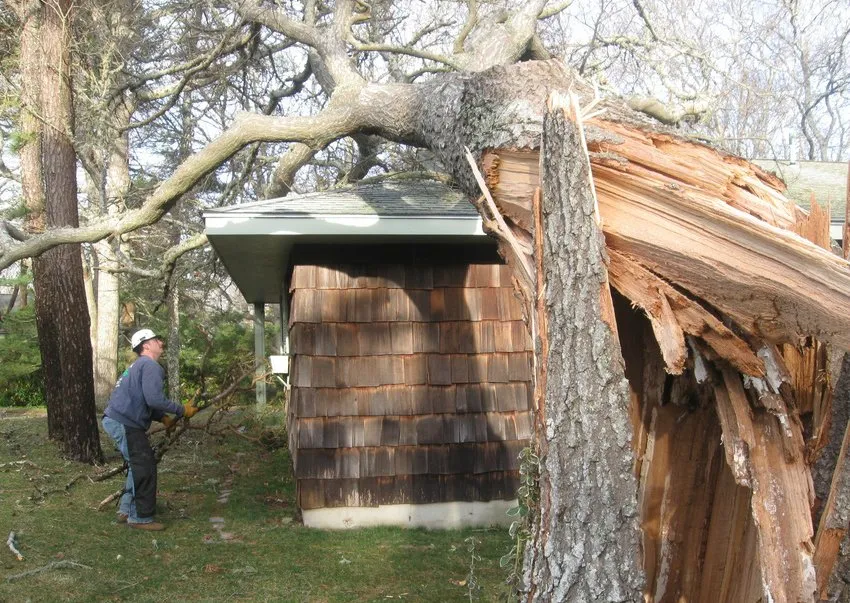 Expert landscape installation in Barnstable, MA - Tree Care Cape Cod