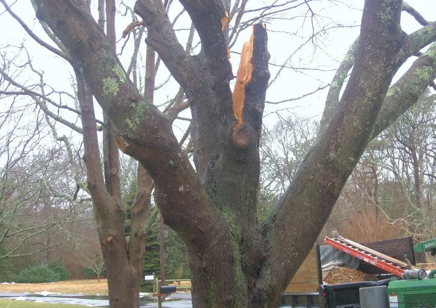 Professional outdoor landscaping with custom design across Barnstable, MA - Tree Care Cape Cod