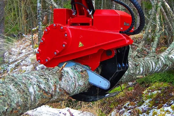 Tree Care Cape Cod Logo