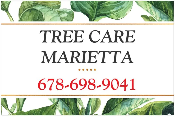 Affordable lawn care service for year-round maintenance in Marietta, GA by Tree Care Marietta