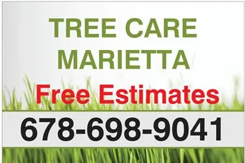 Custom outdoor landscaping in Marietta, GA - Tree Care Marietta