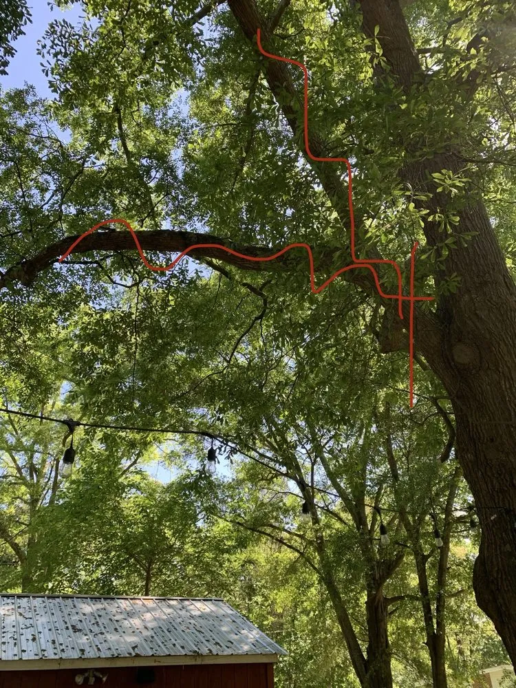 Top-rated lawn care service in Marietta, GA by Tree Care Marietta