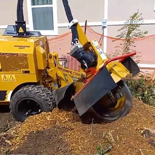 Professional yard cleanup service for beautiful yards in Marietta, GA by Tree Care Marietta