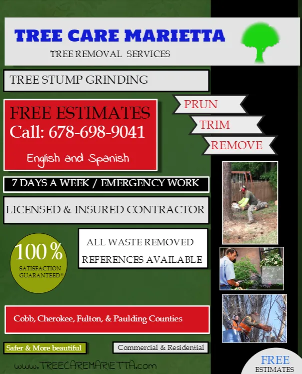 Professional outdoor landscaping in Marietta, GA - Tree Care Marietta