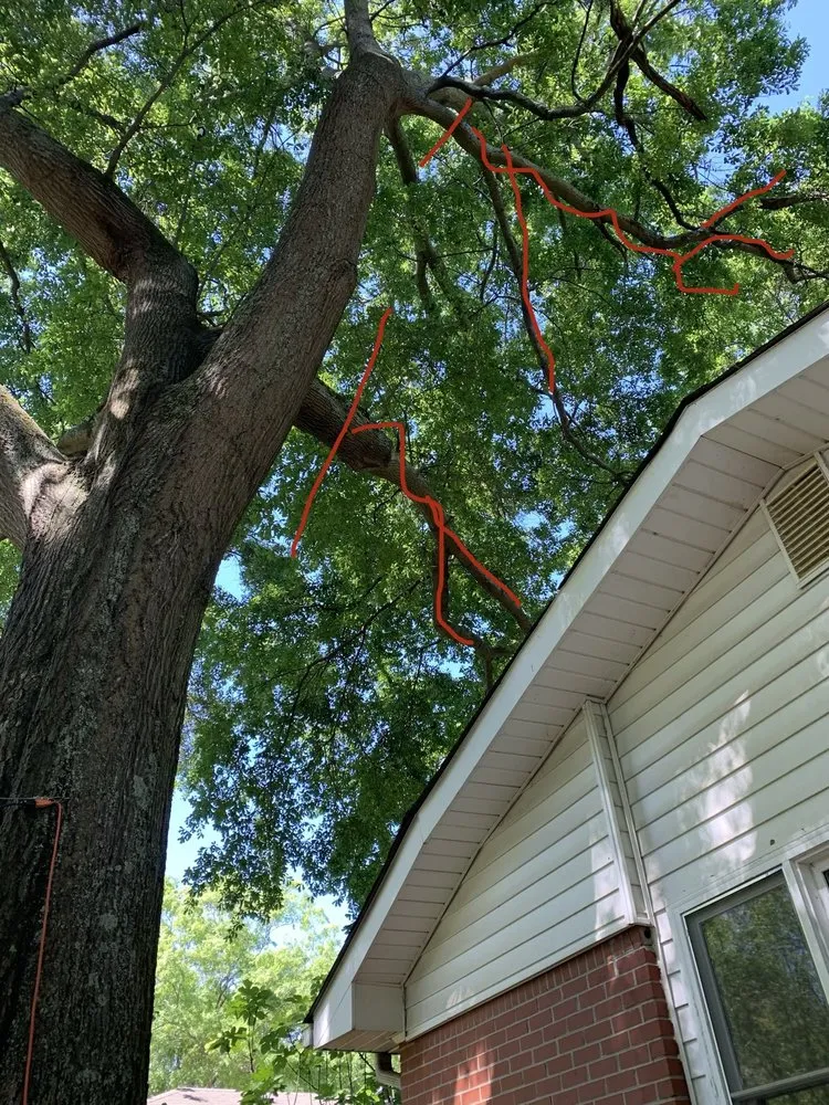 Local yard maintenance in Marietta, GA by Tree Care Marietta