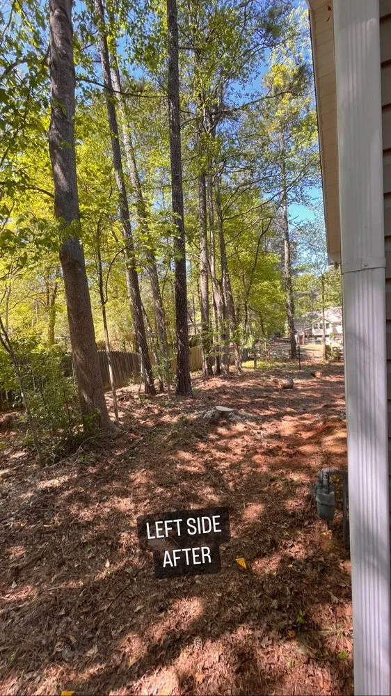 Local residential landscaping in Marietta, GA by Tree Care Marietta