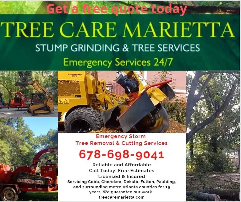 Trusted outdoor landscaping in Marietta, GA by Tree Care Marietta