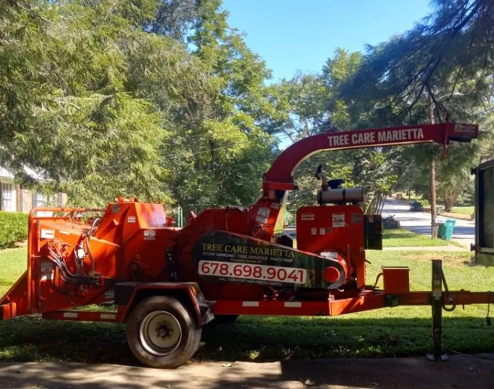 Custom landscaping services for homes in Marietta, GA by Tree Care Marietta