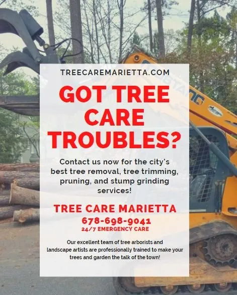 Custom yard cleanup service in Marietta, GA by Tree Care Marietta