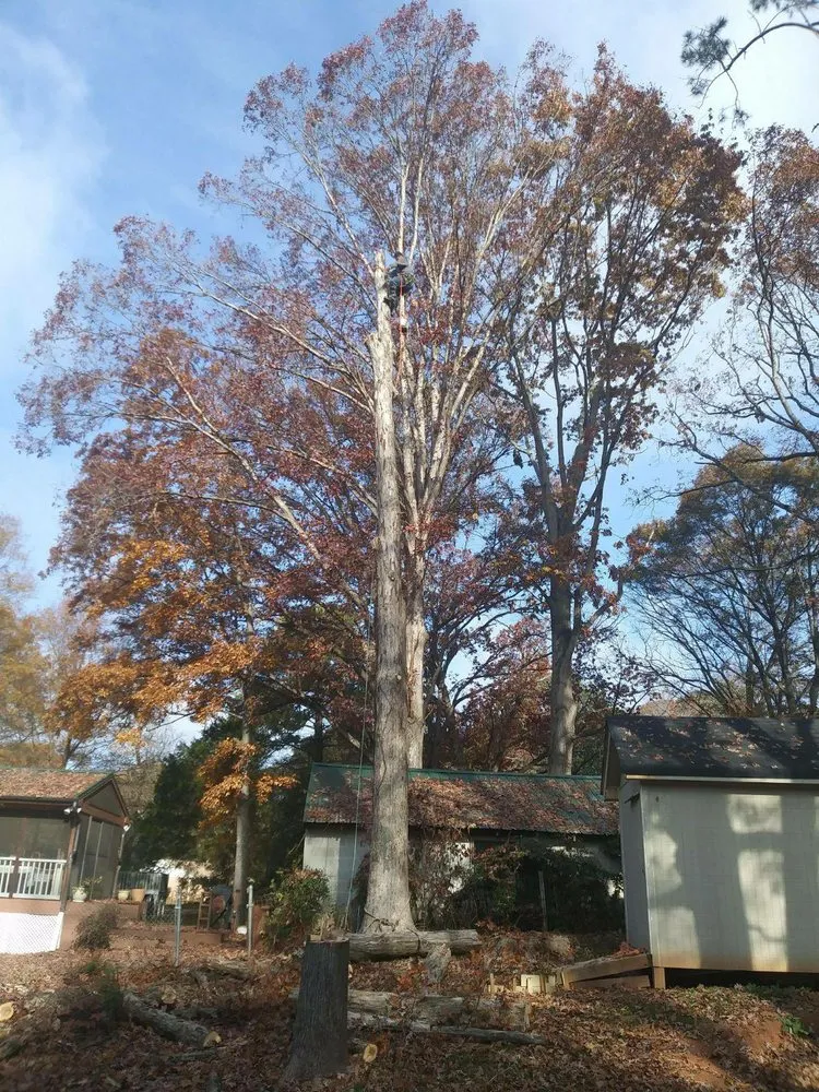 Trusted outdoor landscaping in Marietta, GA by Tree Care Marietta