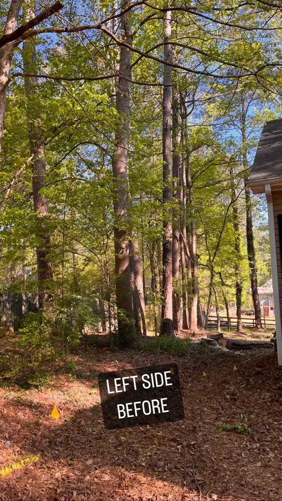 Expert landscape design for residential properties across Marietta, GA - Tree Care Marietta