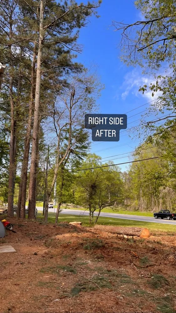 Custom lawn care service in Marietta, GA by Tree Care Marietta