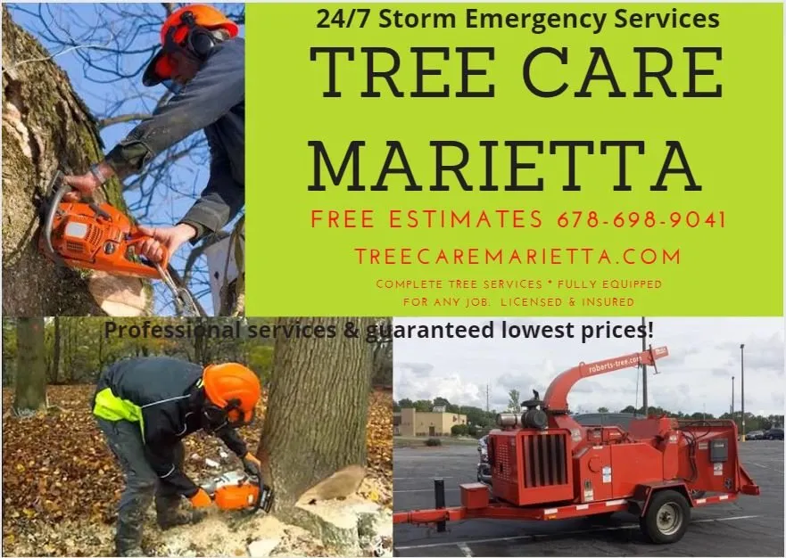 Trusted outdoor landscaping for beautiful yards across Marietta, GA - Tree Care Marietta