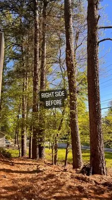 Tree Care Marietta Logo