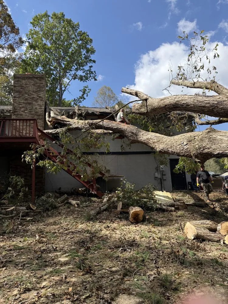Local landscape installation for outdoor upgrades across Cape Coral, FL - Tree care of SWFL