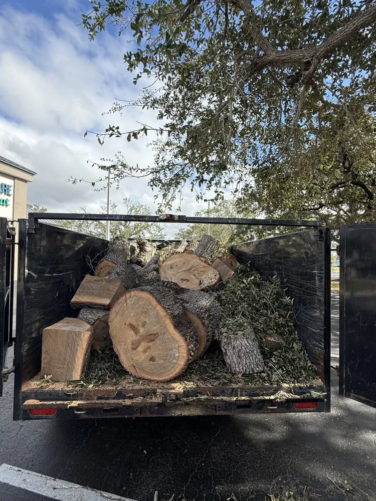 Professional landscape design experts serving Cape Coral, FL - Tree care of SWFL