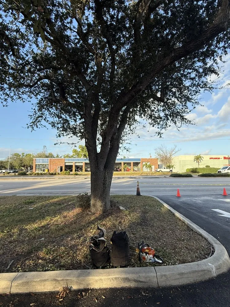 Expert residential landscaping experts serving Cape Coral, FL - Tree care of SWFL