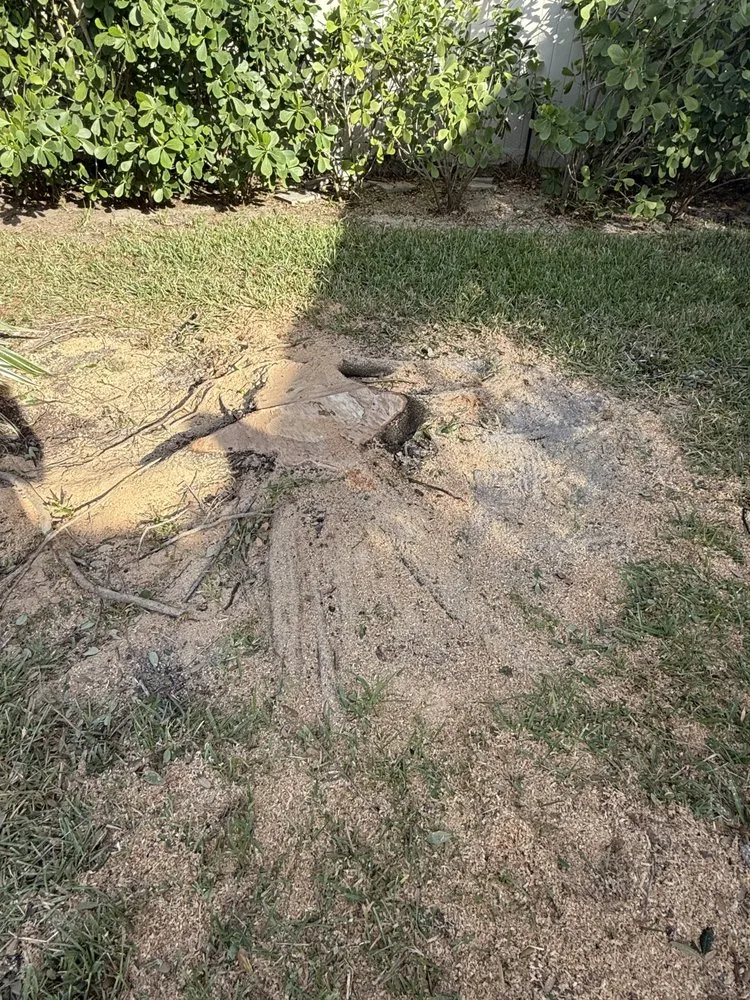 Expert landscape installation experts serving Cape Coral, FL - Tree care of SWFL