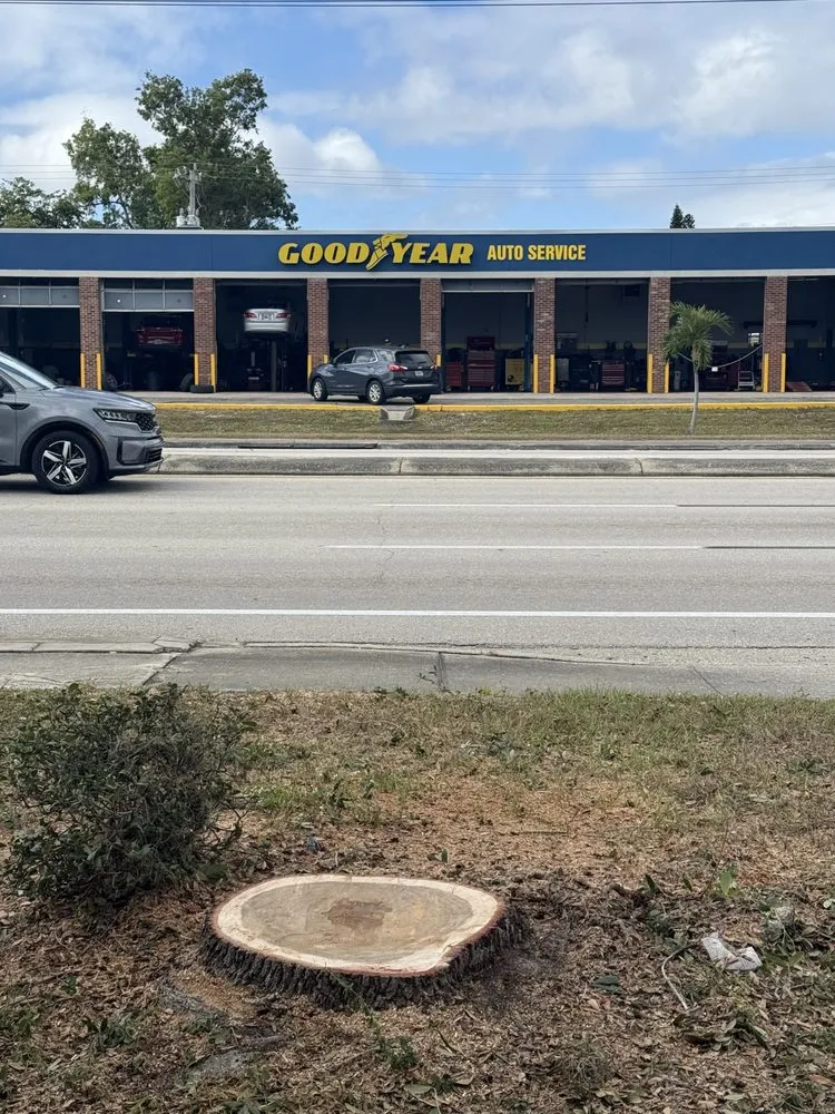 Affordable lawn care service experts serving Cape Coral, FL - Tree care of SWFL