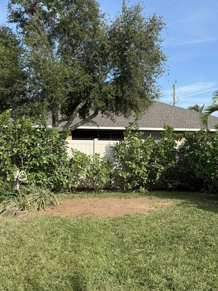 Affordable outdoor landscaping in Cape Coral, FL - Tree care of SWFL