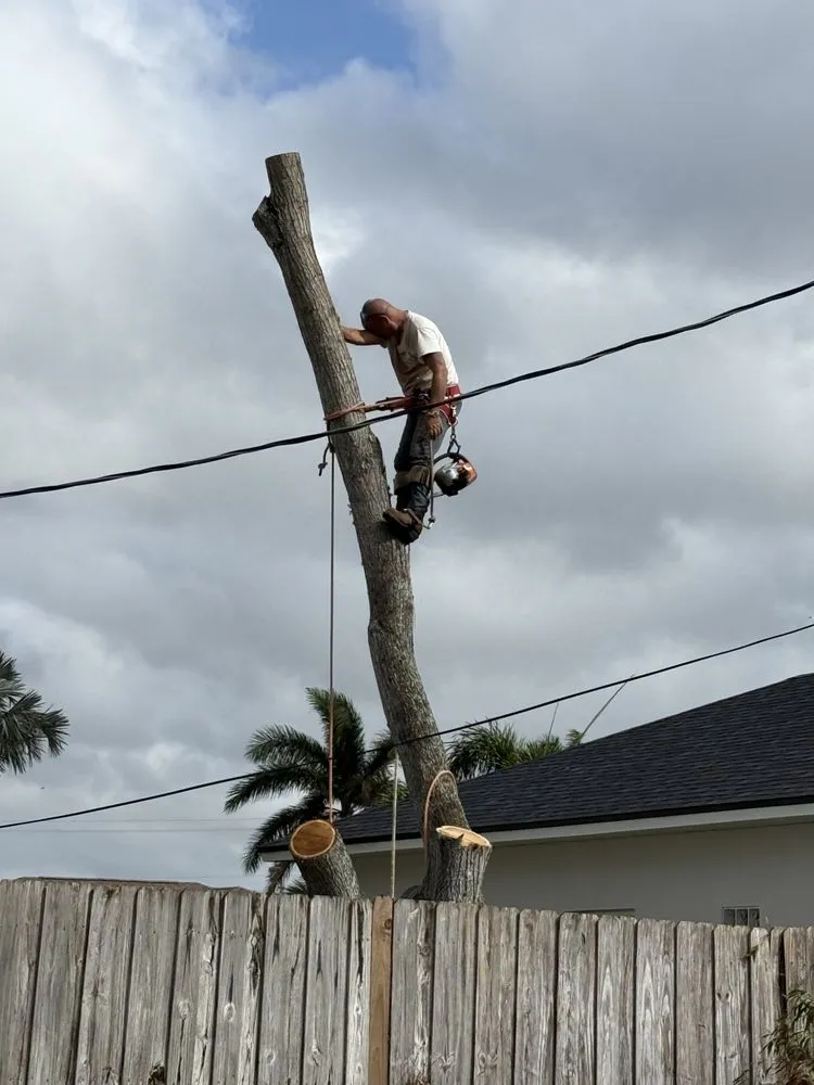 Local lawn care service for outdoor upgrades across Cape Coral, FL - Tree care of SWFL