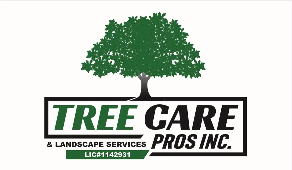 Professional outdoor landscaping experts serving Fillmore, CA - Tree Care Pros