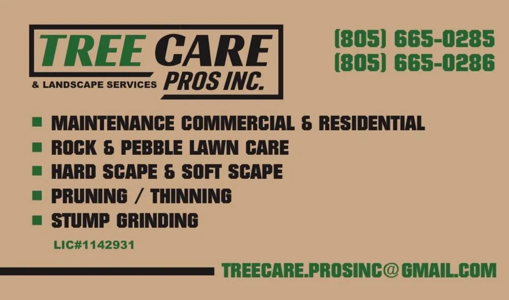 Custom landscape design with custom design in Fillmore, CA by Tree Care Pros