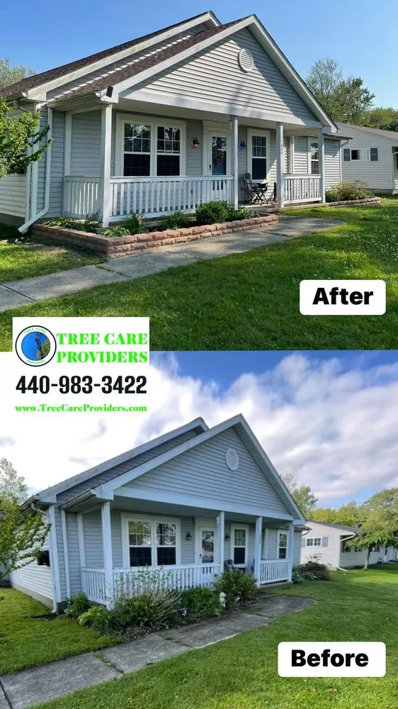 Reliable yard maintenance experts serving Geneva, OH - Tree Care Providers