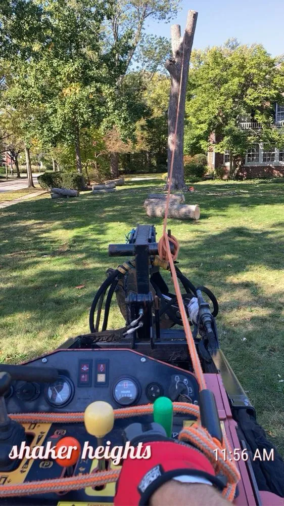 Trusted yard cleanup service in Geneva, OH by Tree Care Providers