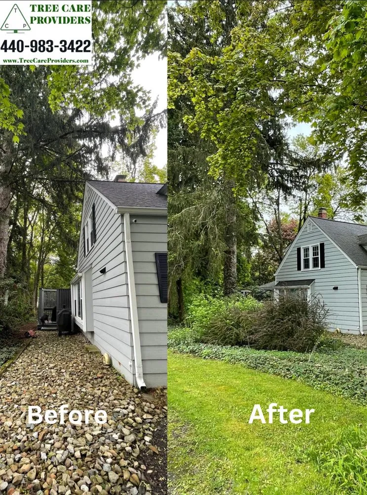 Professional outdoor landscaping in Geneva, OH by Tree Care Providers