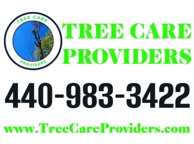 Expert landscape installation in Geneva, OH - Tree Care Providers