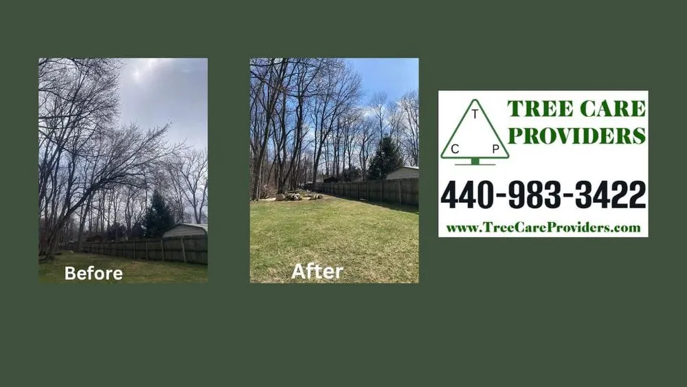 Professional outdoor landscaping in Geneva, OH - Tree Care Providers
