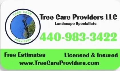 Trusted outdoor landscaping for residential properties across Geneva, OH - Tree Care Providers